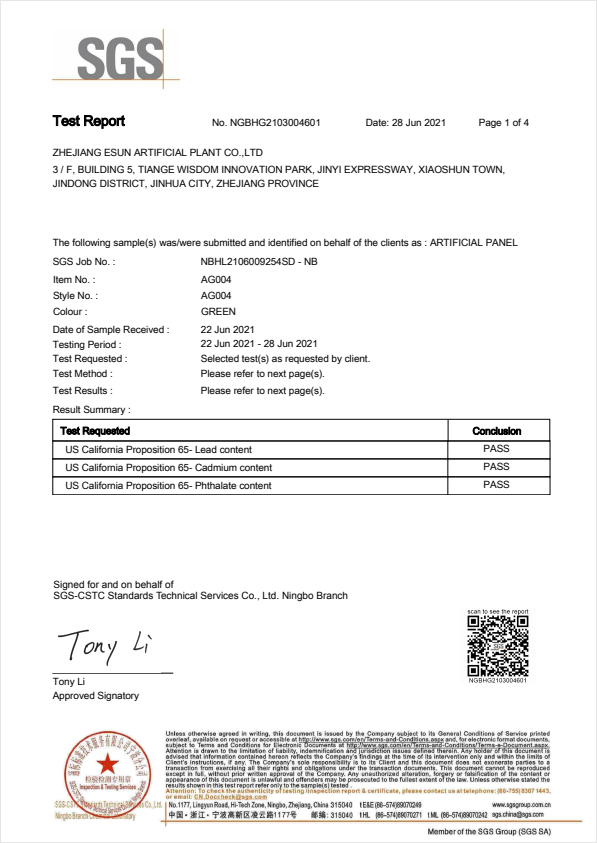 28 jun 2021 SGS TEST REPORT