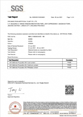 28 jun 2021 SGS TEST REPORT