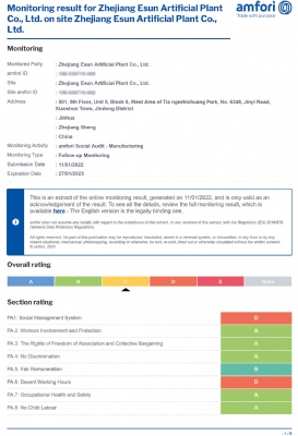 2022 SummaryAuditReport