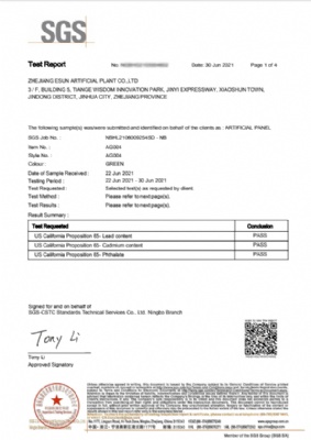 30 jun 2021 SGS TEST REPORT