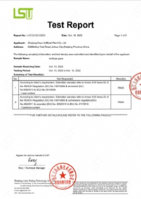 10 oct 2022 LST TEST REPORT