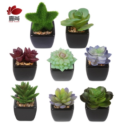 Mini Artificial Succulent Plants Faux Ceramic Potted Green Flower Decor for Desk, Office, Room, Bookshelf, Home