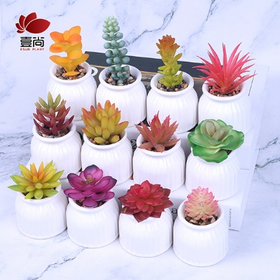 DIY Artificial Succuelnt Plants With Ceramic Pot