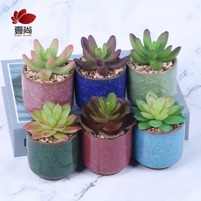 Artificial succulents ice-cracked ceramic cup bonsai micro-landscape vintage bonsai plant decoration
