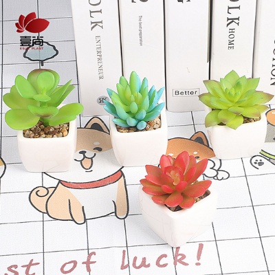 DIY Artificial Succuelnt Plants With Ceramic Pot