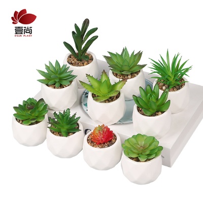 Wholesale small artificial succulent ceramic potted, artificial succulent plants, indoor and outdoor decoration