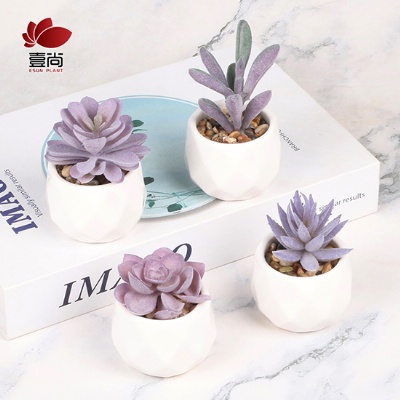 Artificial Succulents in Mini White Ceramic Pots for Desk,Office,Living Room,and Home Decoration.4 Pieces of Various