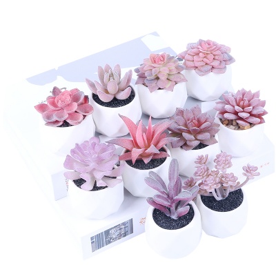 Artificial Succulents in Mini White Ceramic Pots for Desk,Office,Living Room,and Home Decoration.4 Pieces of Various