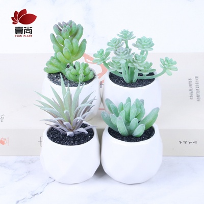 New products high quality garden Plants Flower ceramic pots for succulent plants