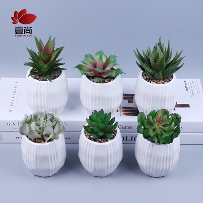 Artificial Succulent Plants Potted for Home Decor Mini Plants for Kitchen Office Bathroom Desk
