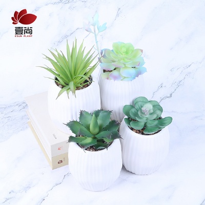 Wholesale Mini office decoration desktop faux artificial plastic succulent plants in ceramics pot