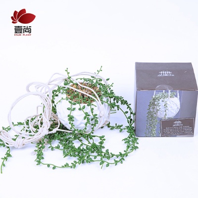 Artificial succulents lover tears potted creative bonsai succulents ceramic bonsai green plants with color box