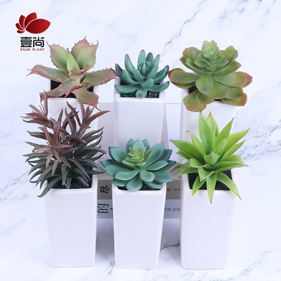 Artificial succulents ceramic bonsai green plants Nordic ins interior decoration creative home furnishing