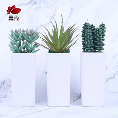 High appearance level artificial succulents ceramic bonsai highly simulated texture clear living room decoration