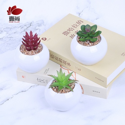 Artificial succulents ceramic bonsai small round basin height simulation texture clear living room decoration