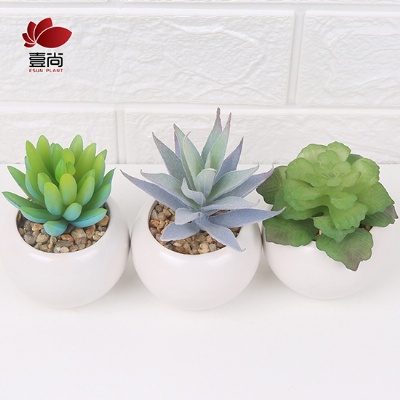 Pot Plants Artificial Succulents in White Ceramic Potted,Mini Artificial Plants for Home Office Classroom Decoration