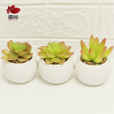 Pot Plants Artificial Succulents in White Ceramic Potted,Mini Artificial Plants for Home Office Classroom Decoration