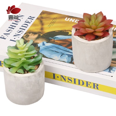 Artificial cement potted succulents, interior decoration for office bedroom desktop Artificial succulent plant