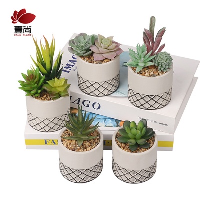 The New European style artificial cement potted succulents, interior decoration for office bedroom desktop