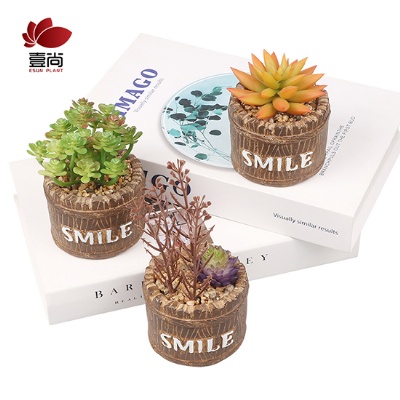 Artificial cement potted succulents, interior decoration for office bedroom desktop Artificial succulent plant