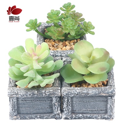 Artificial cement potted succulents, interior decoration for office bedroom desktop Artificial succulent plant