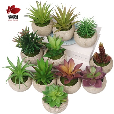 High-quality Indoor Artificial Succulent Grass Plastic Plants With Pots Simulated Floral For Decoration