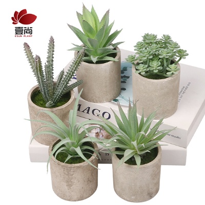 High-quality Indoor Artificial Succulent Grass Plastic Plants With Pots Simulated Floral For Decoration