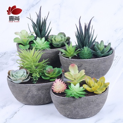 2022 wholesale Eco-friendly Decorative Indoor Plant Home Office Decor