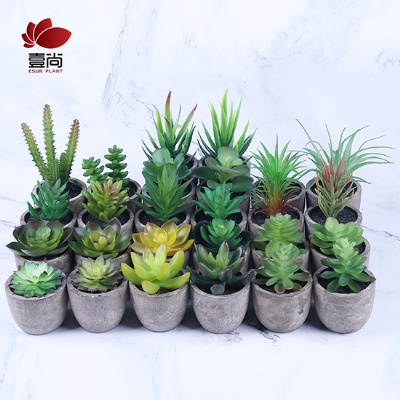 Wholesale High-Quality Office desktop paper pulp pot fake Plastic Succulent Plants Set For Home Decor