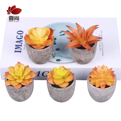 Artificial Succulent Plants Assorted Decorative Faux Succulent Potted Fake Cactus Cacti Plants with Gray Pots Set of 5