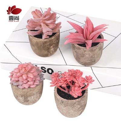 Artificial Succulent Plants Assorted Decorative Faux Succulent Potted Fake Cactus Cacti Plants with Gray Pots Set of 5