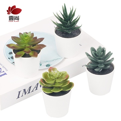 DIY high quality decorative interior small mini plastic pot fleshy flower pot