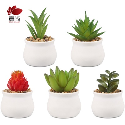 Artificial Succulents Plants,white Round Ceramic Pot,Home Office Decor Mini Artificial Potted Plant
