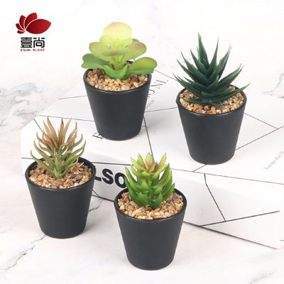 Artificial Succulent With Plastic Pot For Promotion
