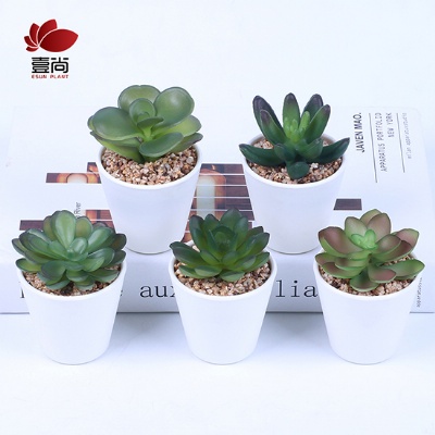 Artificial Succulent With Plastic Pot For Promotion