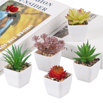 Set of 5 Assorted Decorative Artificial Plants Small Artificial Succulents with white plastic Pot