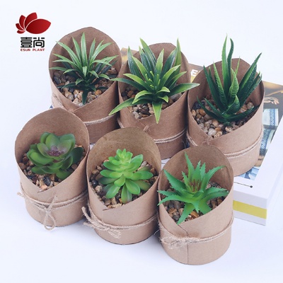 Artificial Succulent Plants With Paper Pot