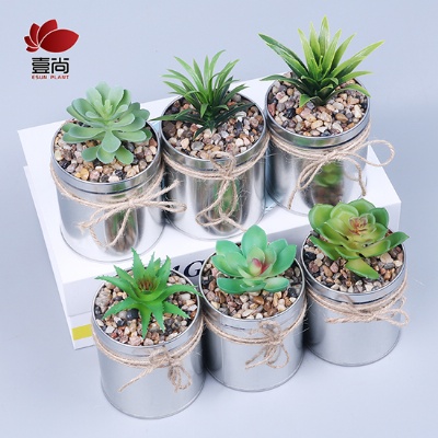 Artificial Succulent Plant With Iron Pot For Home Decoration