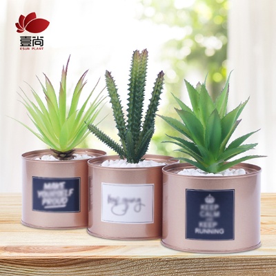 Artificial Succulent Plants Set With Iron Pot