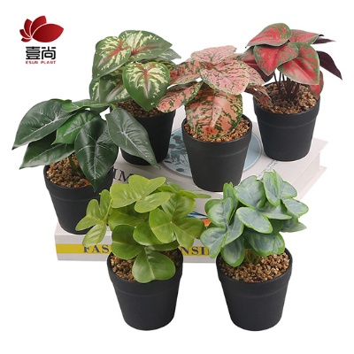 Artificial Plants Decorative