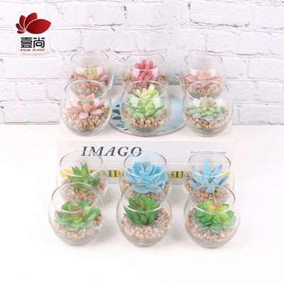 Artificial Succulent Plant In Glass Pot