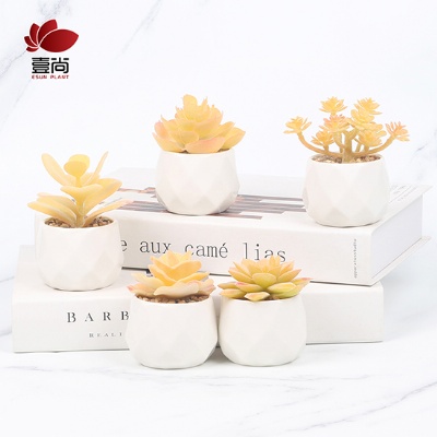 Artificial Plant With Ceramic Pot