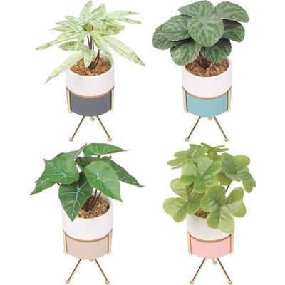 Artificial Plant With Ceramic Pot