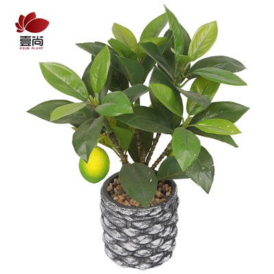 Artificial Plant With Cement Pot