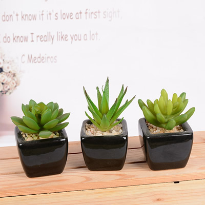 Artificial succulent plant